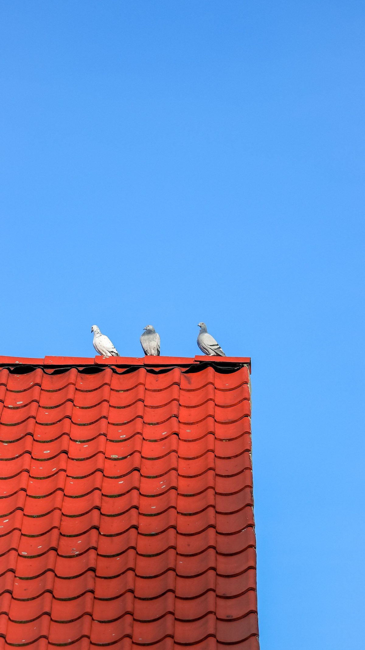 Pokrycie dachówką ceramiczną