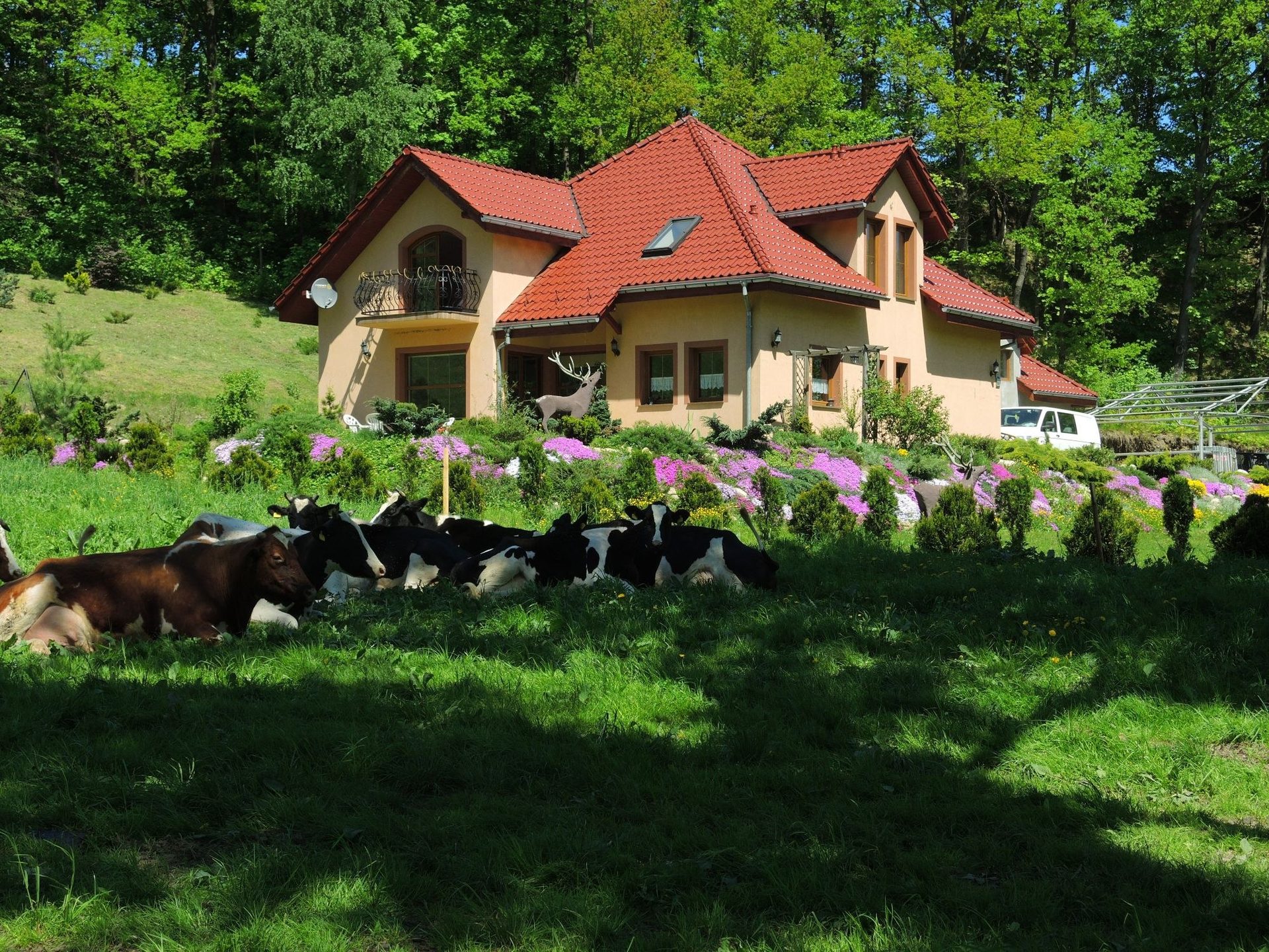 Gotowy dach po odbiorze